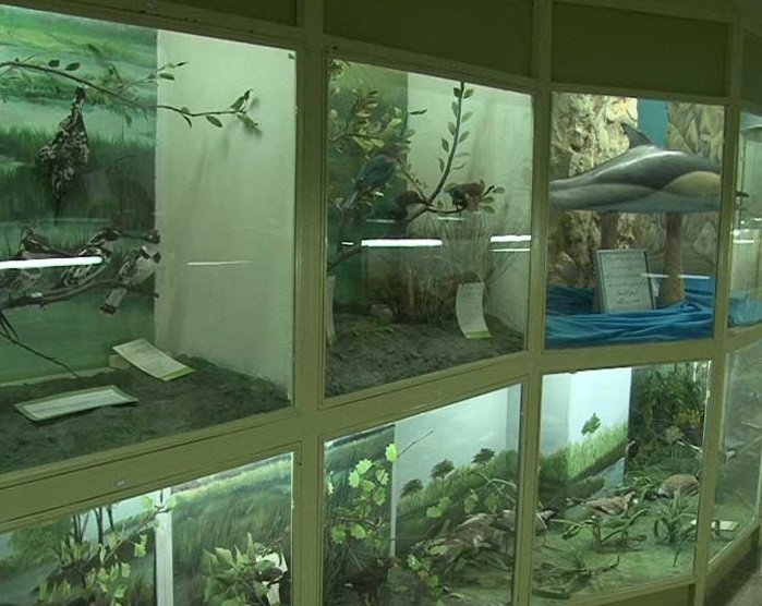 موزه جانور شناسی